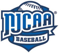 NJCAA Baseball logo