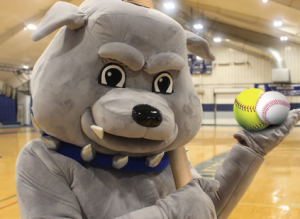 A featured phot of Bruno, the South Suburban College Bulldogs mascot, posing with a baseball and softball in the Physical Fitness & Athletic Center.