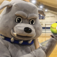 A featured phot of Bruno, the South Suburban College Bulldogs mascot, posing with a baseball and softball in the Physical Fitness & Athletic Center.